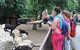 Zoo Svatý Kopeček