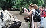 Zoo Svatý Kopeček