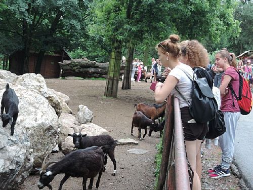 Ekotým v ZOO