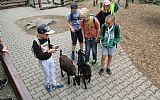 Školní výlet I. st. ZOO Ostrava