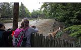 Výlet 5. a 6. třídy ZOO a zámek Lešná