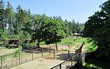 Školní výlet ZOO Olomouc - 1.st.