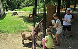 Školní výlet ZOO Olomouc - 1.st.