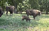 Školní výlet Slovensko - VII.AB